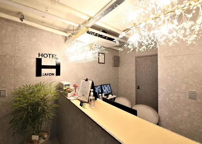 Hotel Seomyeon Haydn Busan